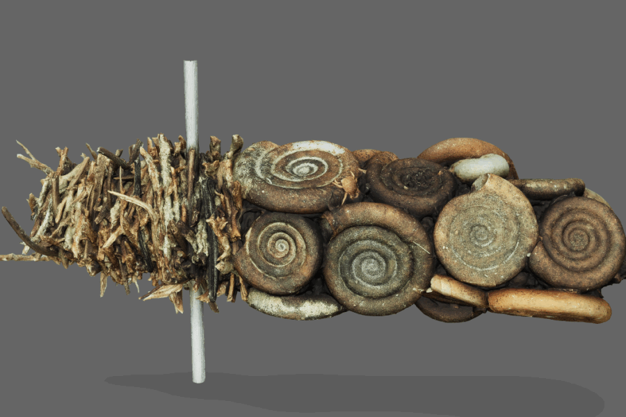 Screenshot einer Köcherfliege eines 3D-Modelles