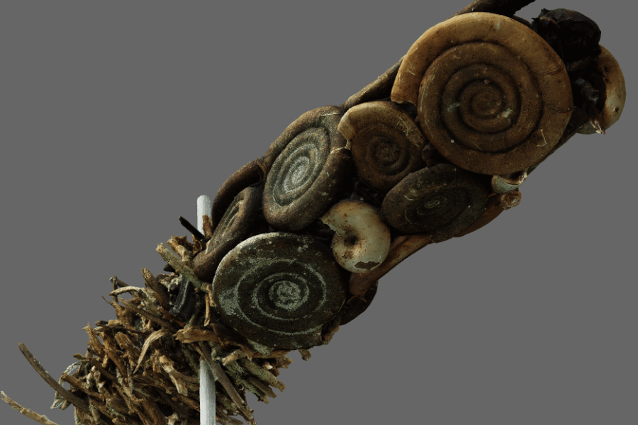 Screenshot einer Köcherfliege eines 3D-Modelles